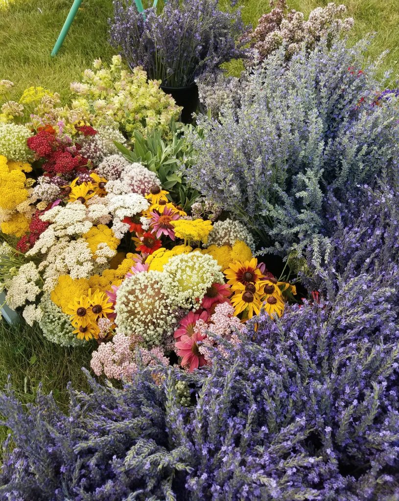 planning your garden with fresh cut flowers and edible flowers