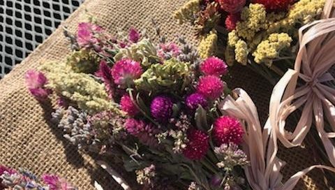flowers for drying